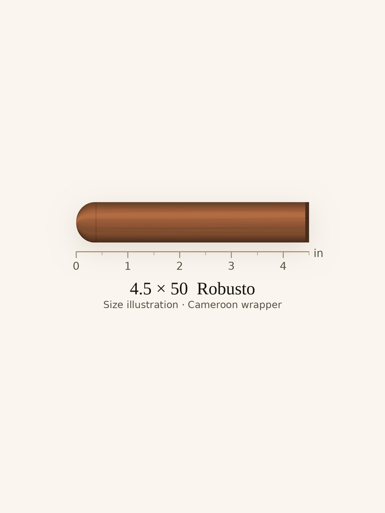 Arturo Fuente Chateau Fuente Natural - Medium Robusto cigar by Arturo Fuente