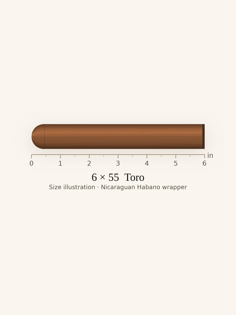AJ Fernandez New World Toro - Full Toro cigar by AJ Fernandez