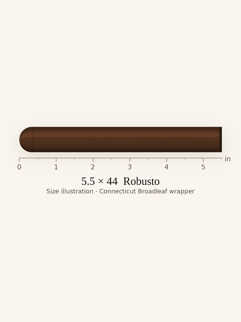 Ashton Aged Maduro No. 20 Robusto