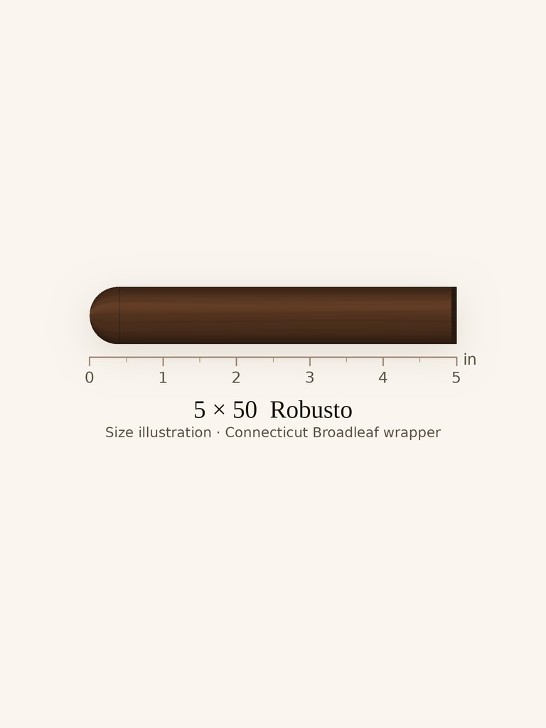 Foundation The Tabernacle Robusto - Full Robusto cigar by Foundation