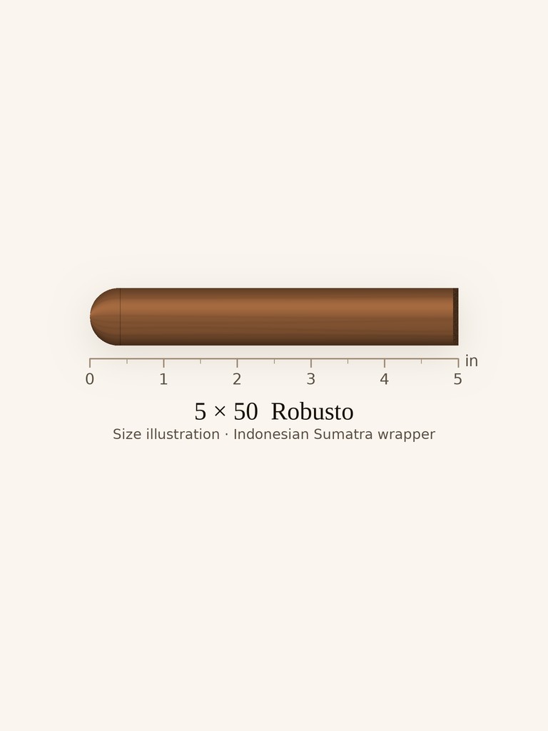 Hoyo de Monterrey Dark Sumatra Robusto