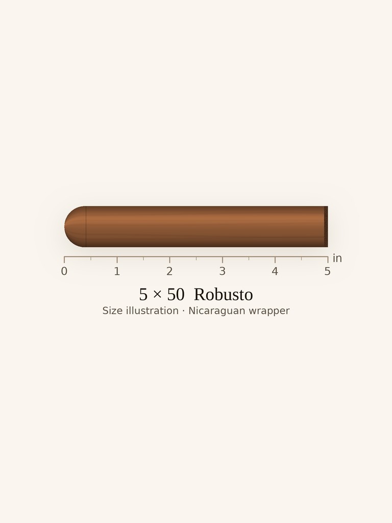 Joya de Nicaragua Clasico Robusto