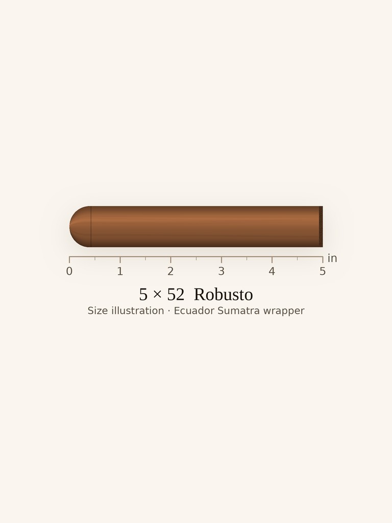 Rocky Patel Decade Robusto