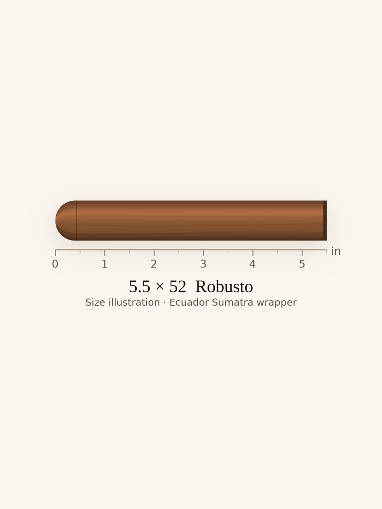 Rocky Patel Vintage 1992 Robusto