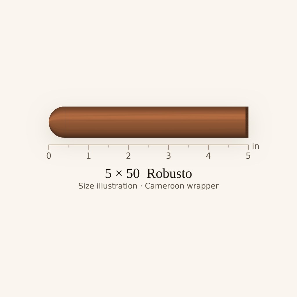 Arturo Fuente Don Carlos Robusto - Medium-Full Robusto cigar by Arturo Fuente