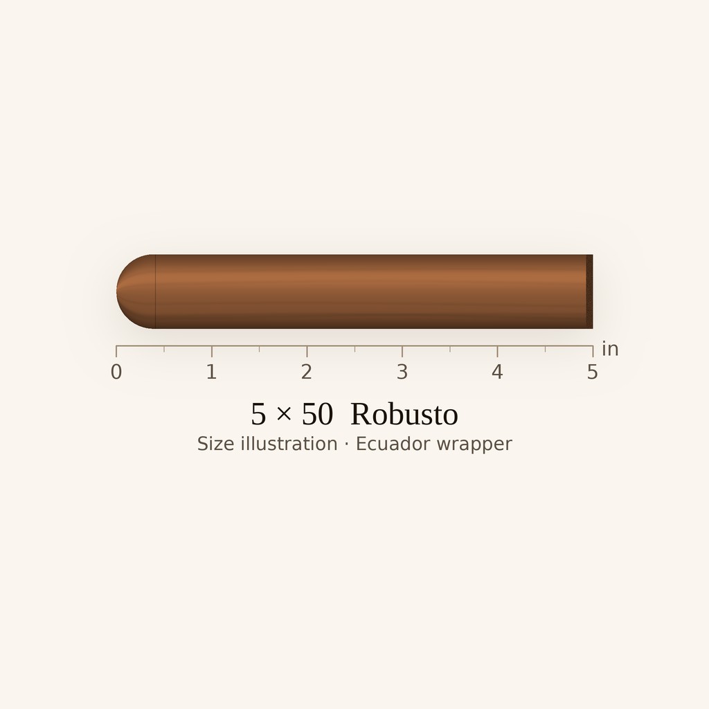 Ashton Symmetry Robusto
