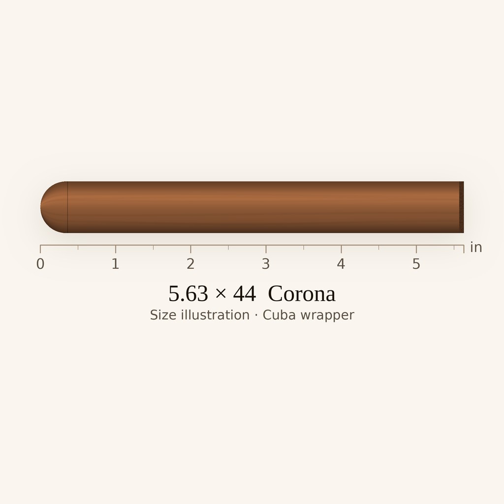 Bolivar Corona Extra