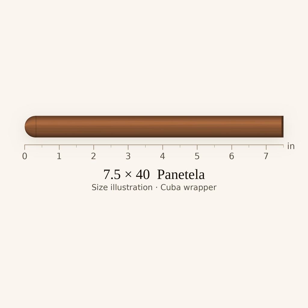 Trinidad Fundadores