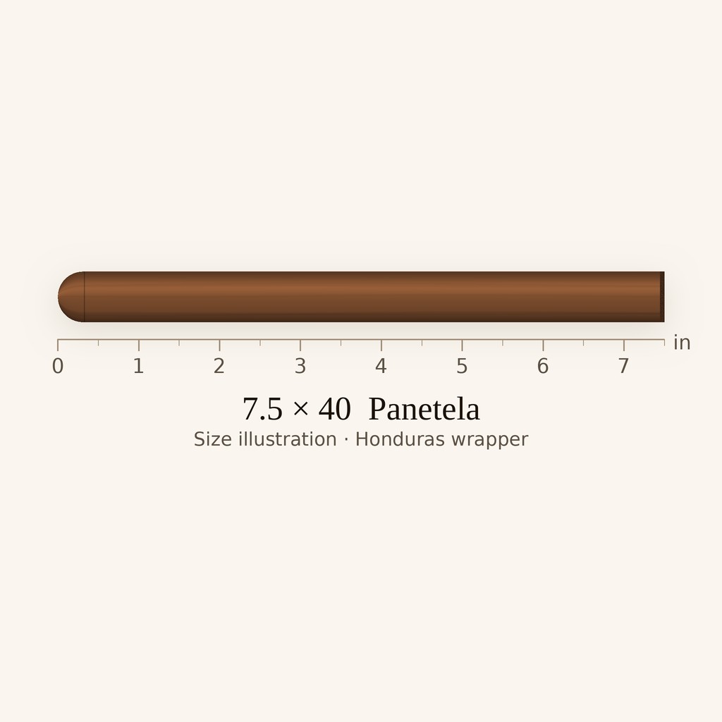 Kristoff Ligero Criollo Lancero