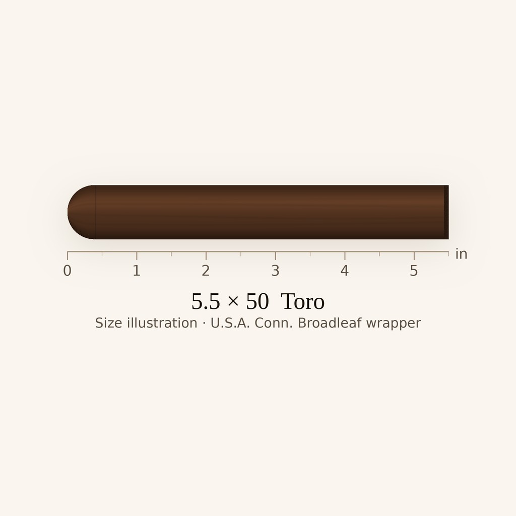 Rocky Patel Platinum Robusto