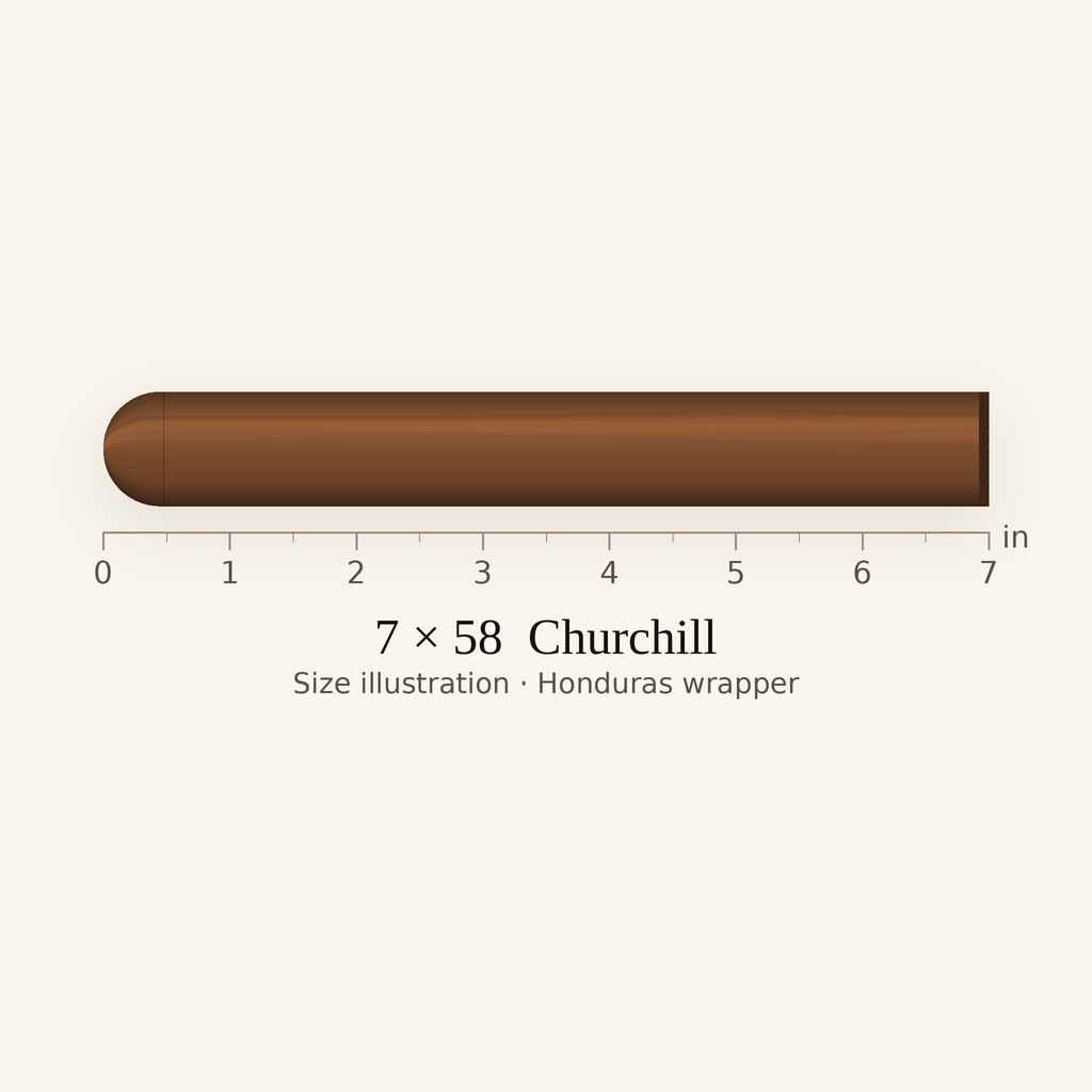 Alec Bradley Coyol Double Churchill