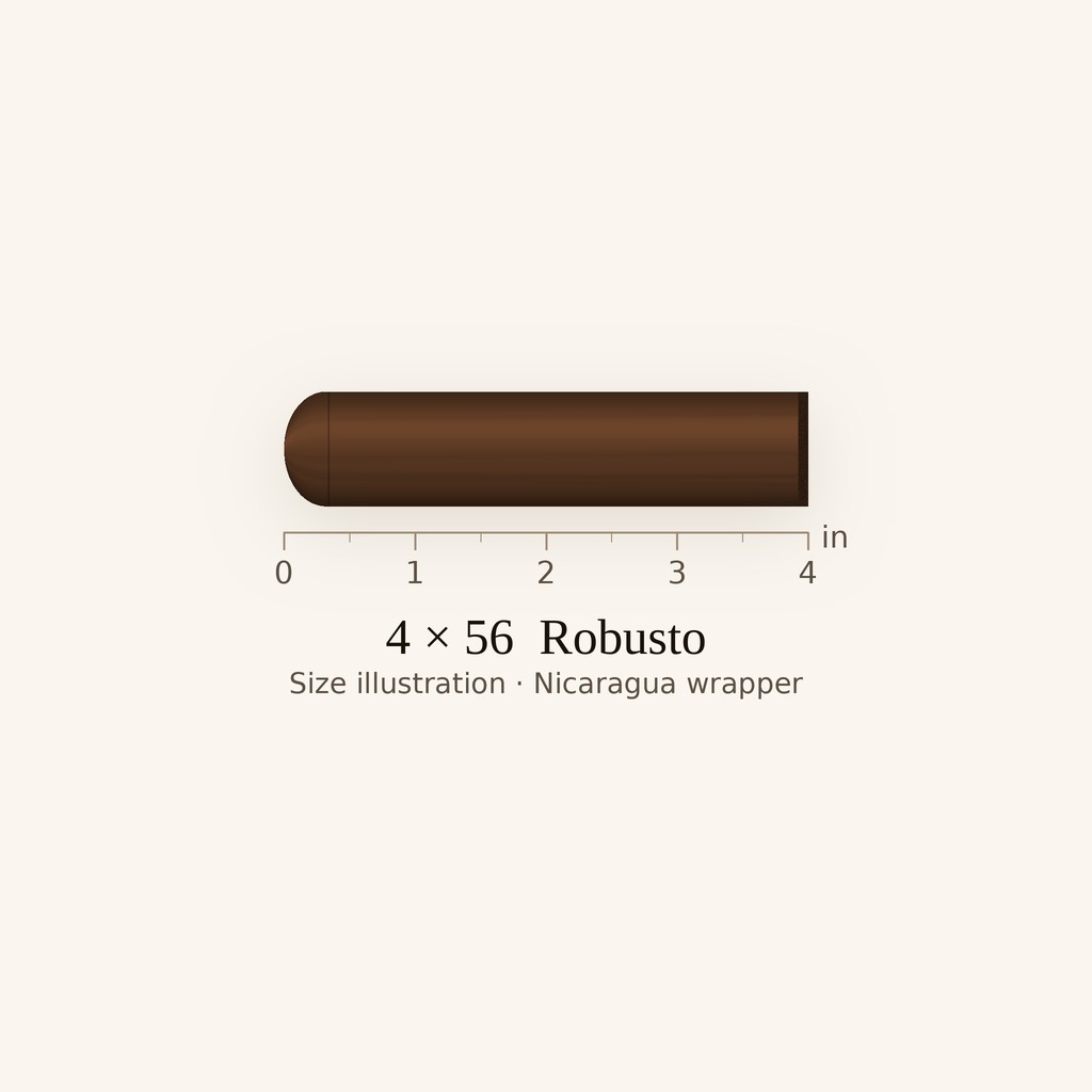 Padrón 1964 Anniversary Series Hermoso Maduro - Medium-Full Robusto cigar by Padron