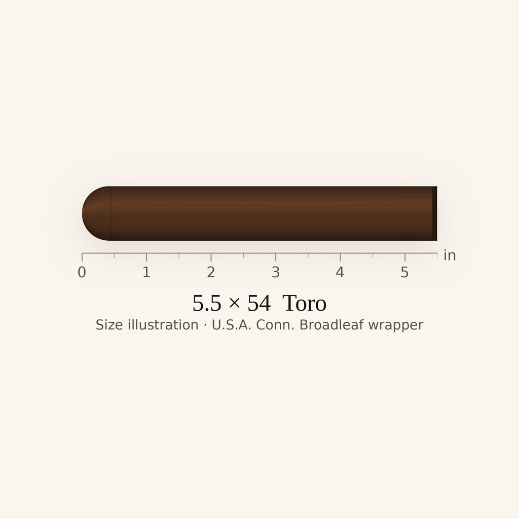 Punch Gran Puro Nicaragua 5 1/2 x 54