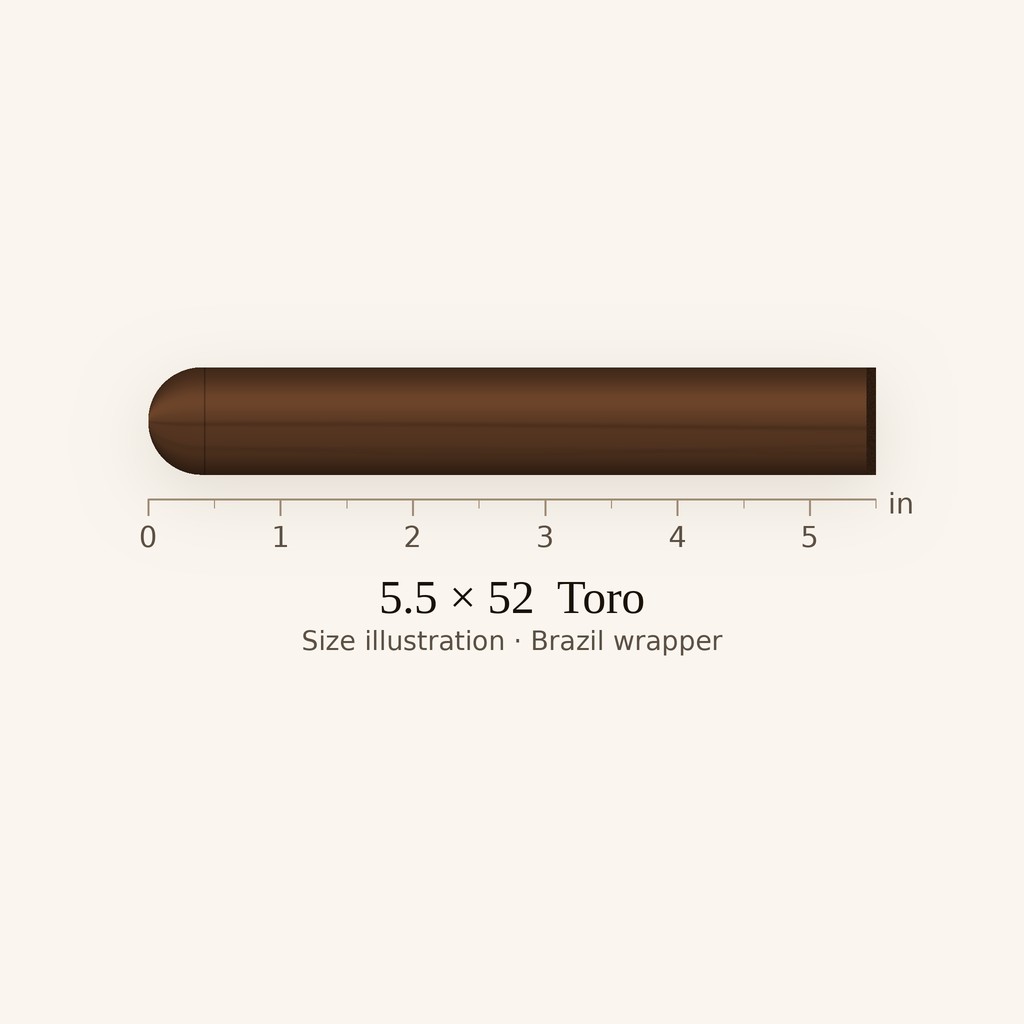 Bellas Artes Maduro Robusto - Full Toro cigar by AJ Fernandez