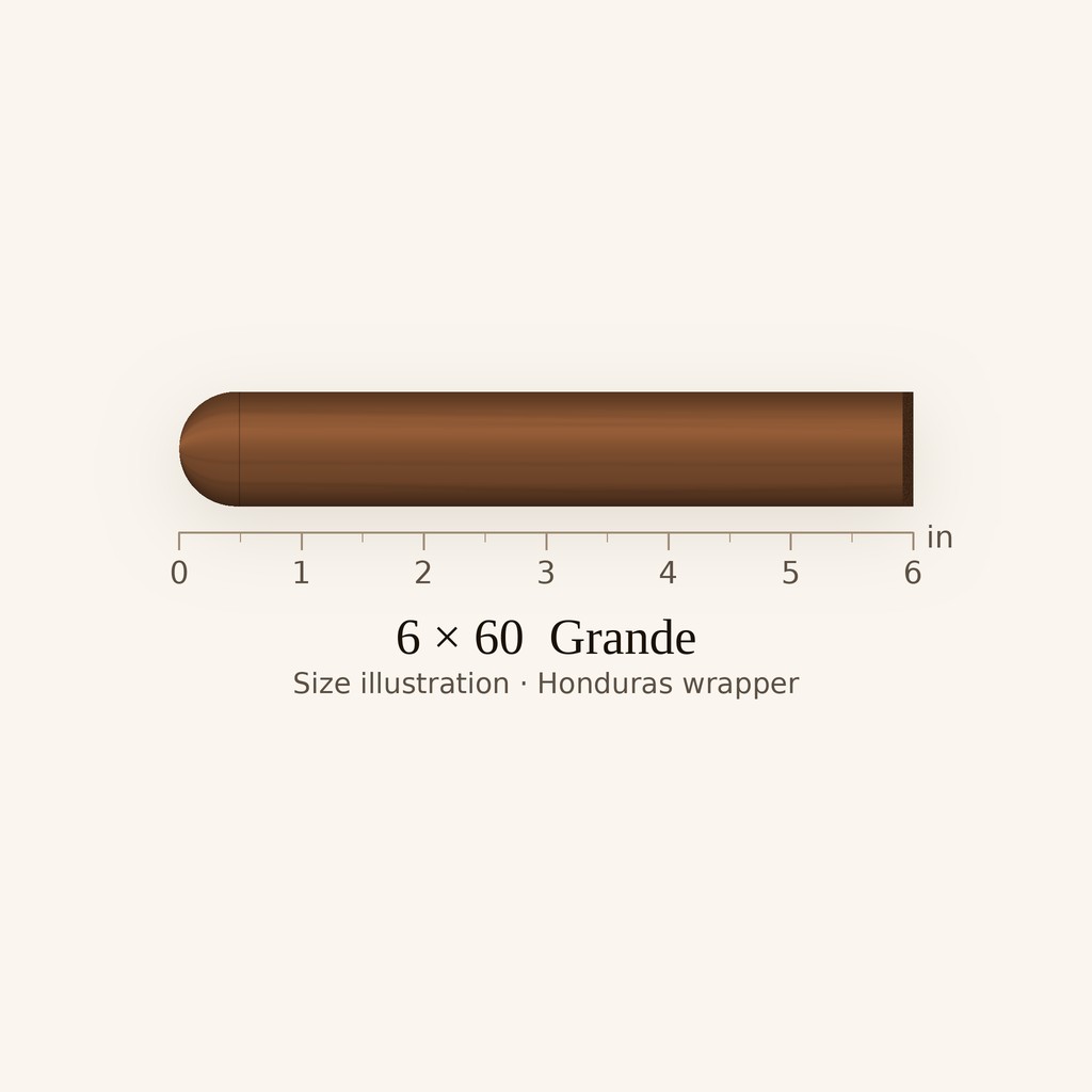 Rocky Patel Olde World Reserve Corojo Sixty