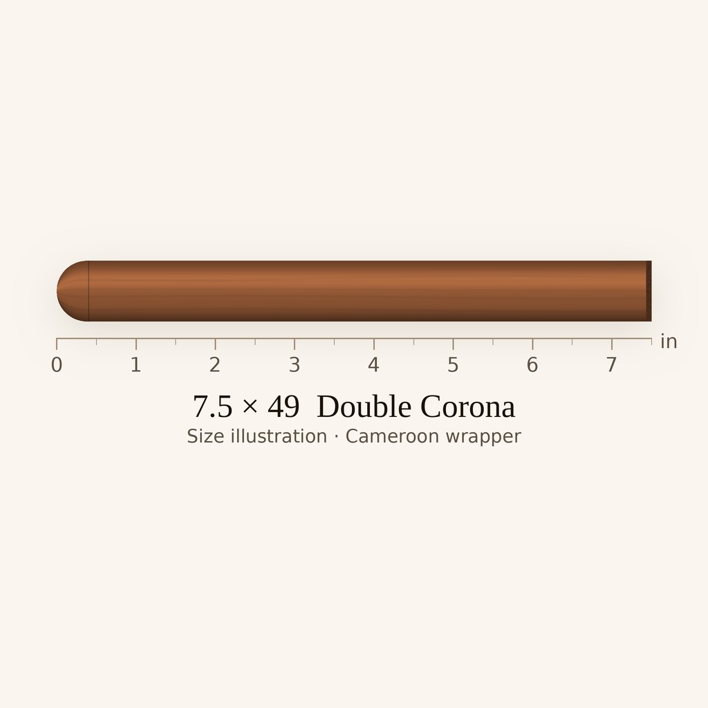 Partagas No. 10