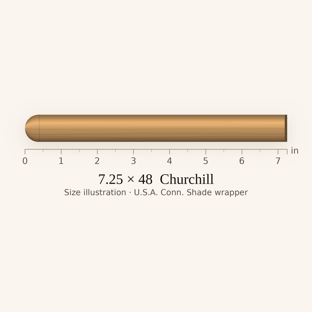 Savinelli E.L.R. Churchill