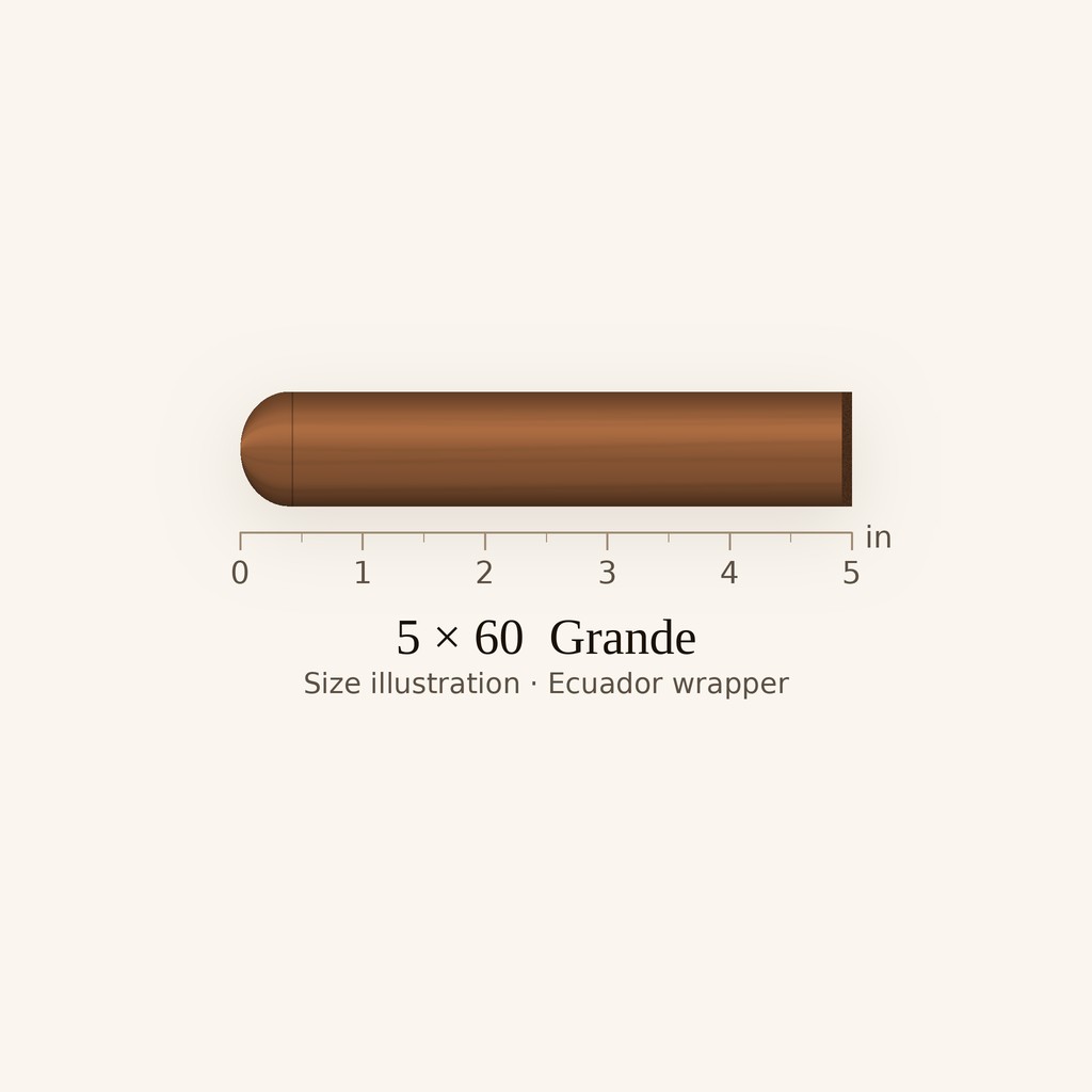 Zino Platinum Crown Series 2020 Gran Robusto