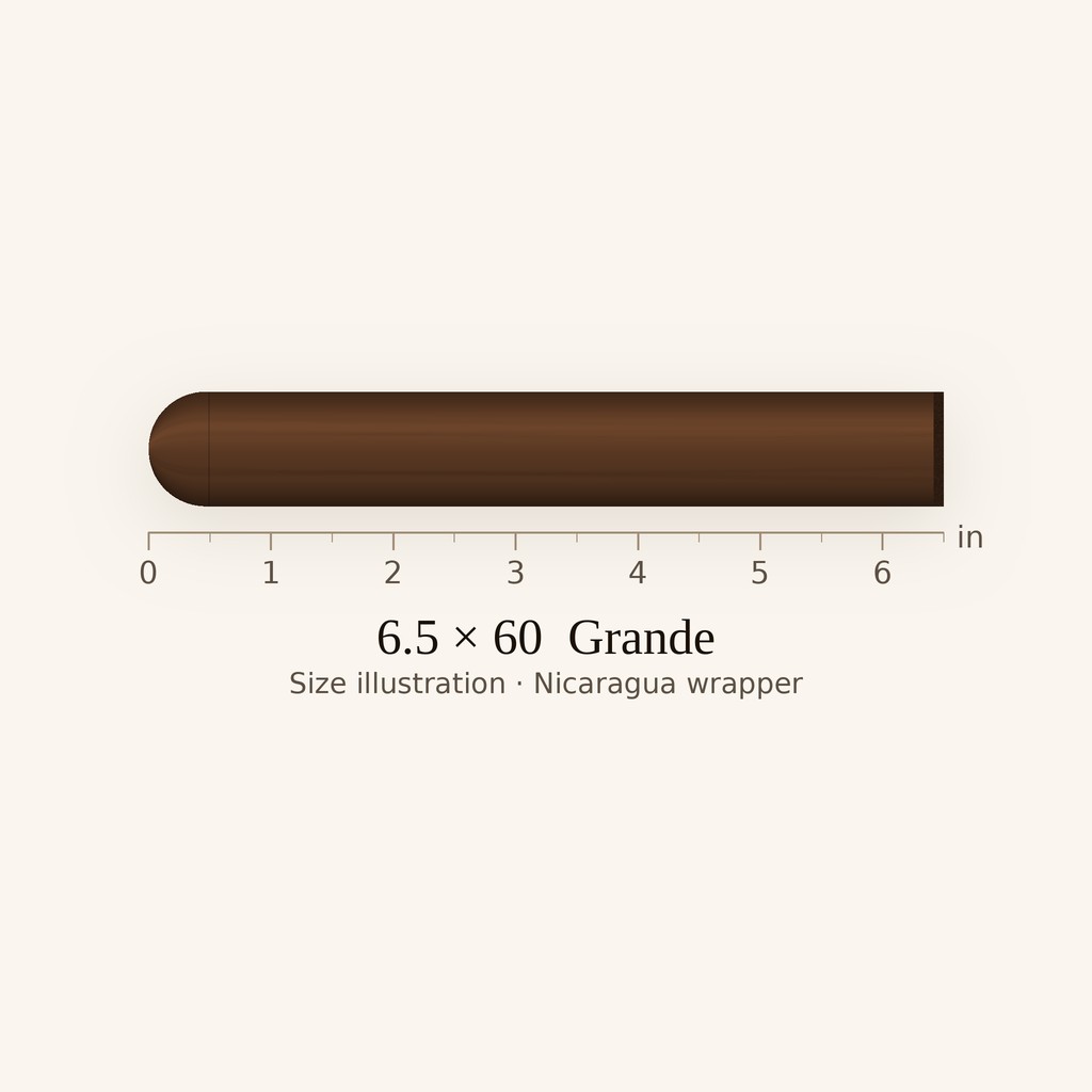 Padrón 1964 Anniversary Series No. 4 Maduro - Medium-Full Grande cigar by Padron