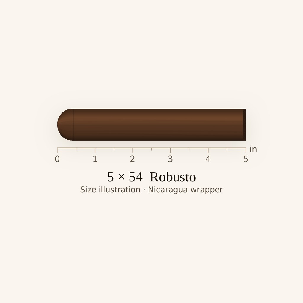 Perdomo Reserve 10th Anniversary Maduro Robusto