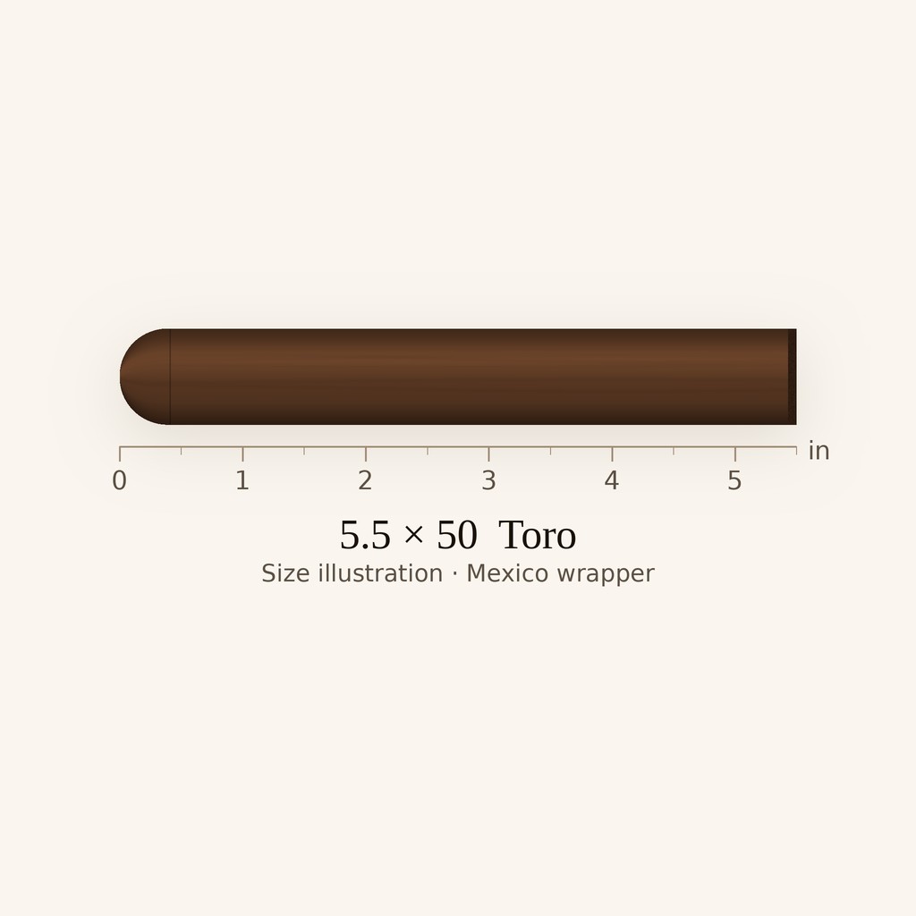 Rocky Patel Winter Collection Robusto