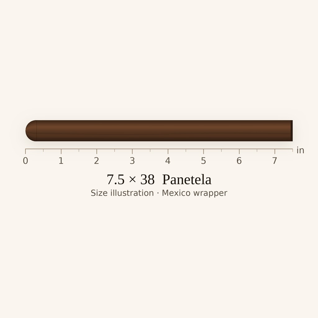 Murciélago Lancero