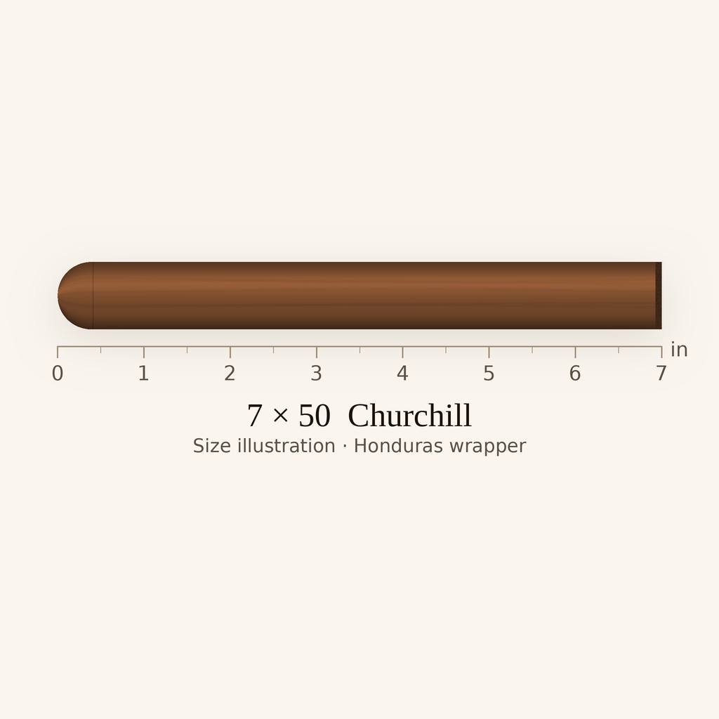Alec Bradley Medalist Churchill