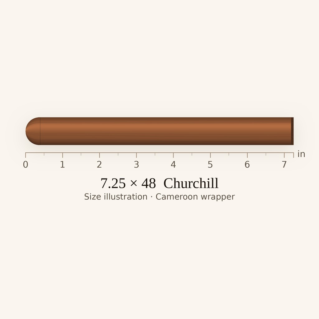 Arturo Fuente Churchill - Medium Churchill cigar by Arturo Fuente