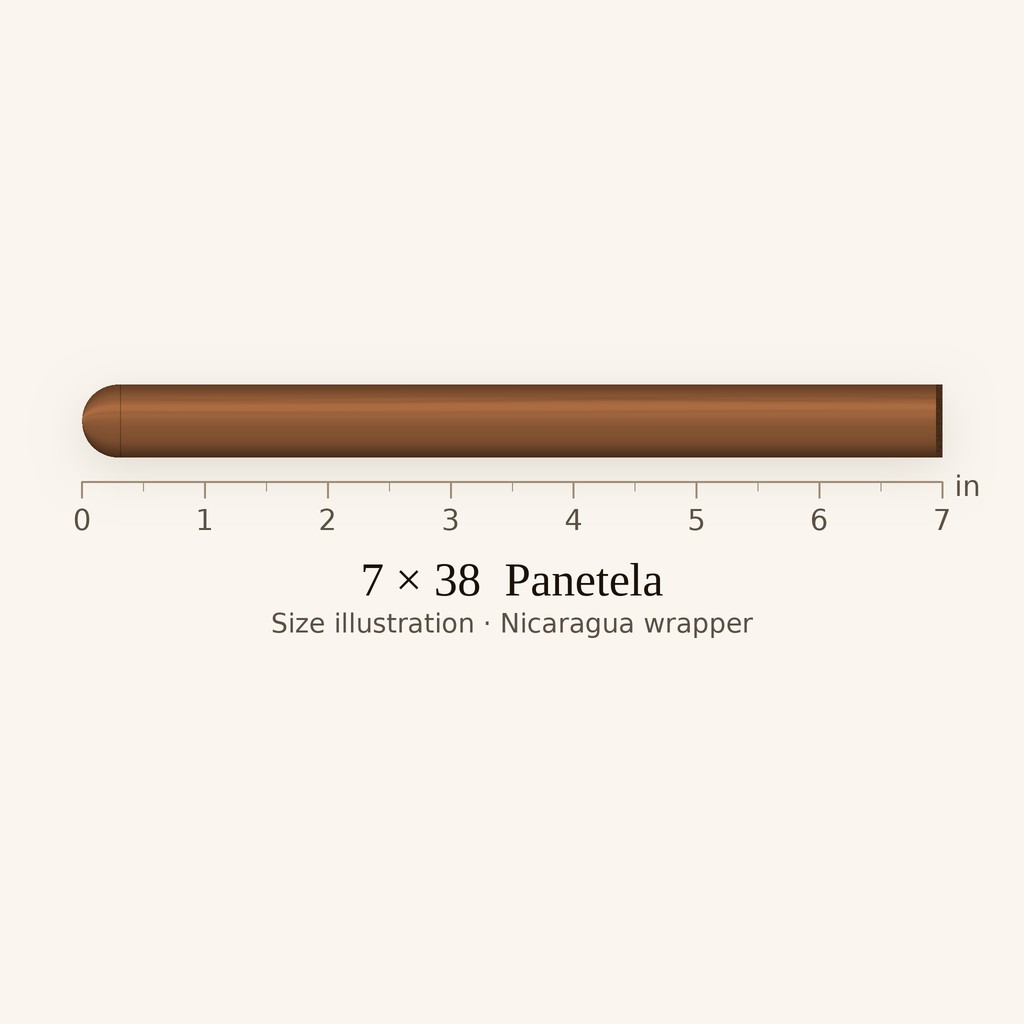 Asylum 13 Lancero