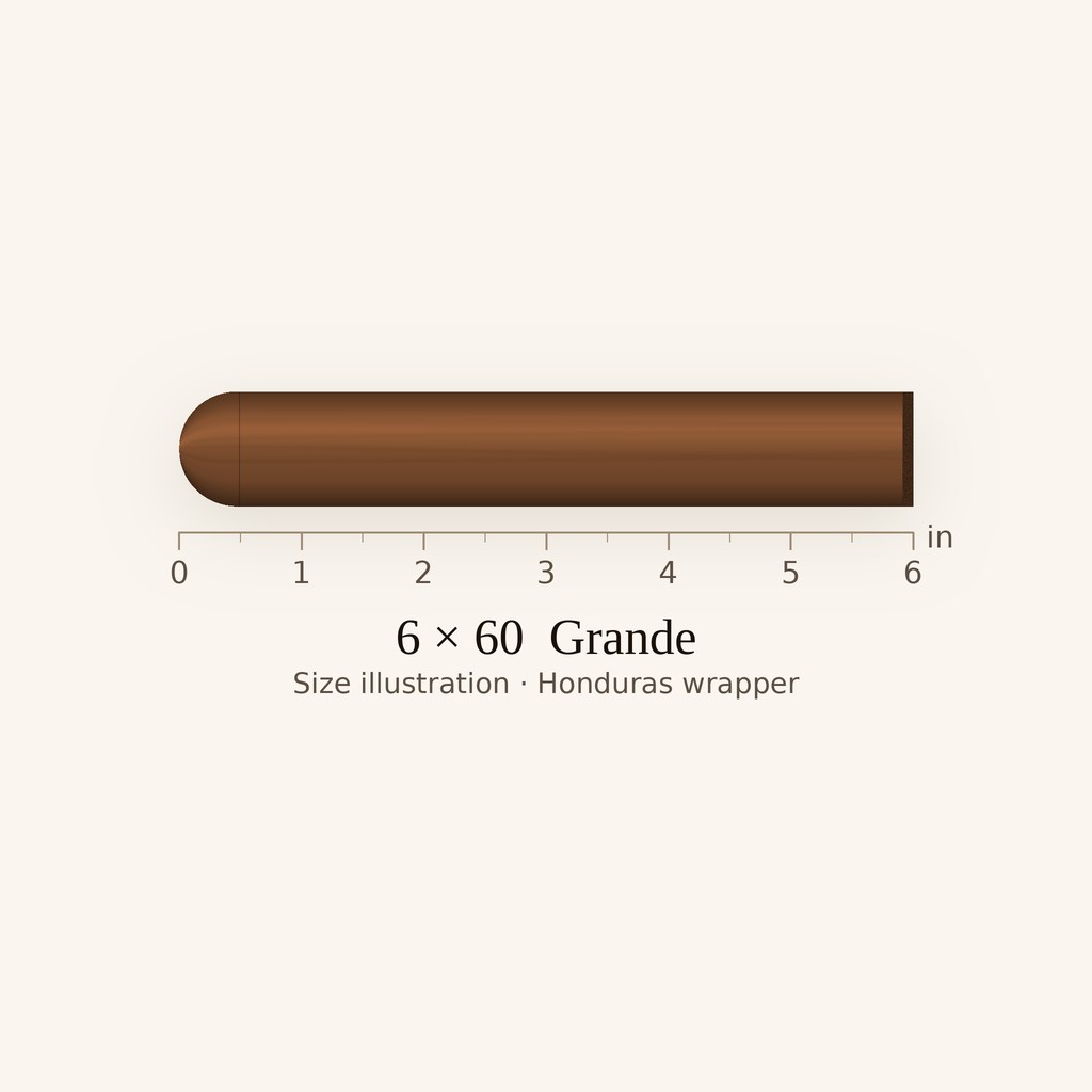 Rocky Patel Number 6 Sixty