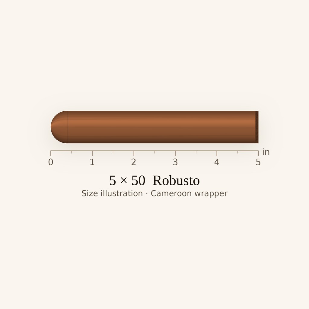 Arturo Fuente Don Carlos Personal Reserve Robusto - Medium-Full Robusto cigar by Arturo Fuente