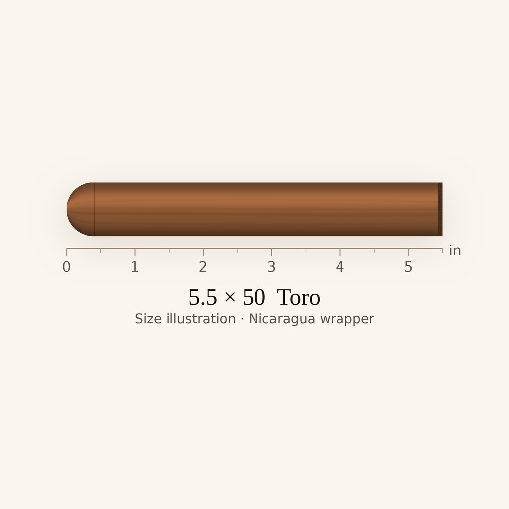 The Wise Man Corojo Robusto - Medium Toro cigar by Foundation