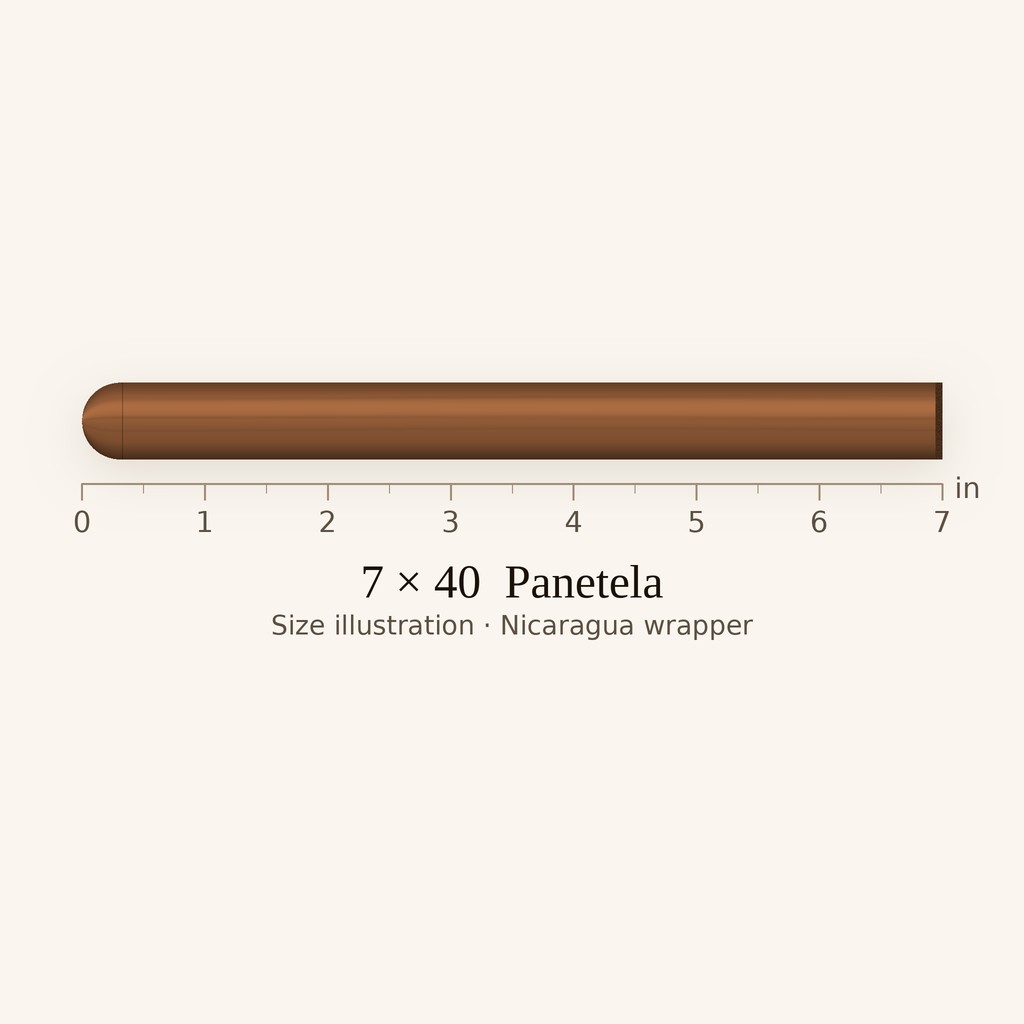 The Wise Man Corojo Lancero - Medium Panetela cigar by Foundation