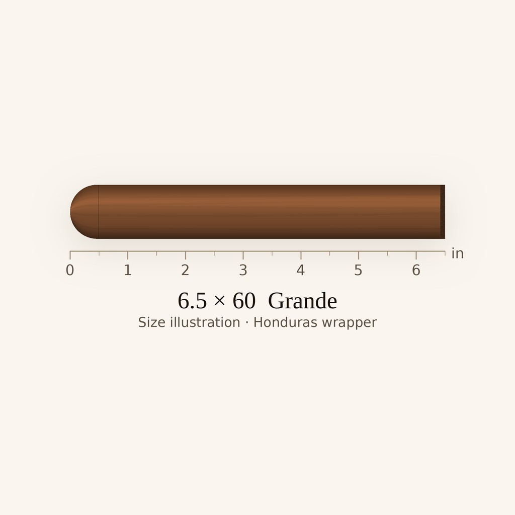 El Rey Del Mundo Appointment Gordo