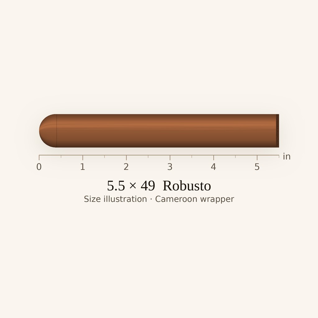 Partagas Limited Reserve Robusto