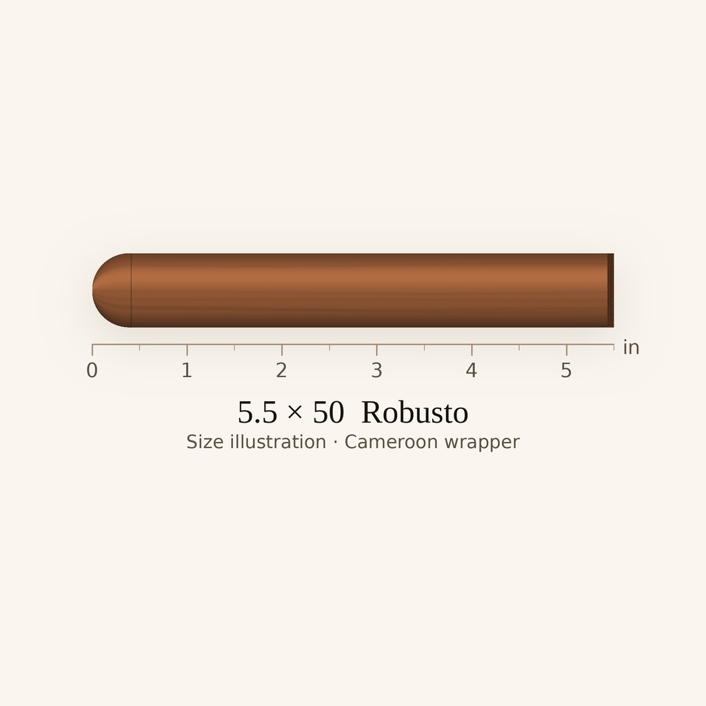 Ashton Heritage Puro Sol Robusto
