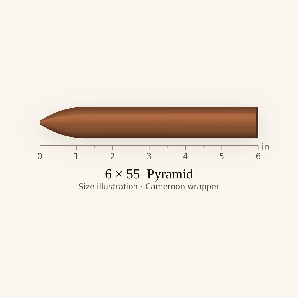 Arturo Fuente Don Carlos No. 2 size illustration