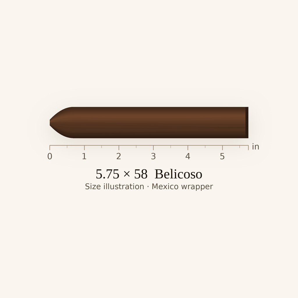El Pulpo Belicoso Grande