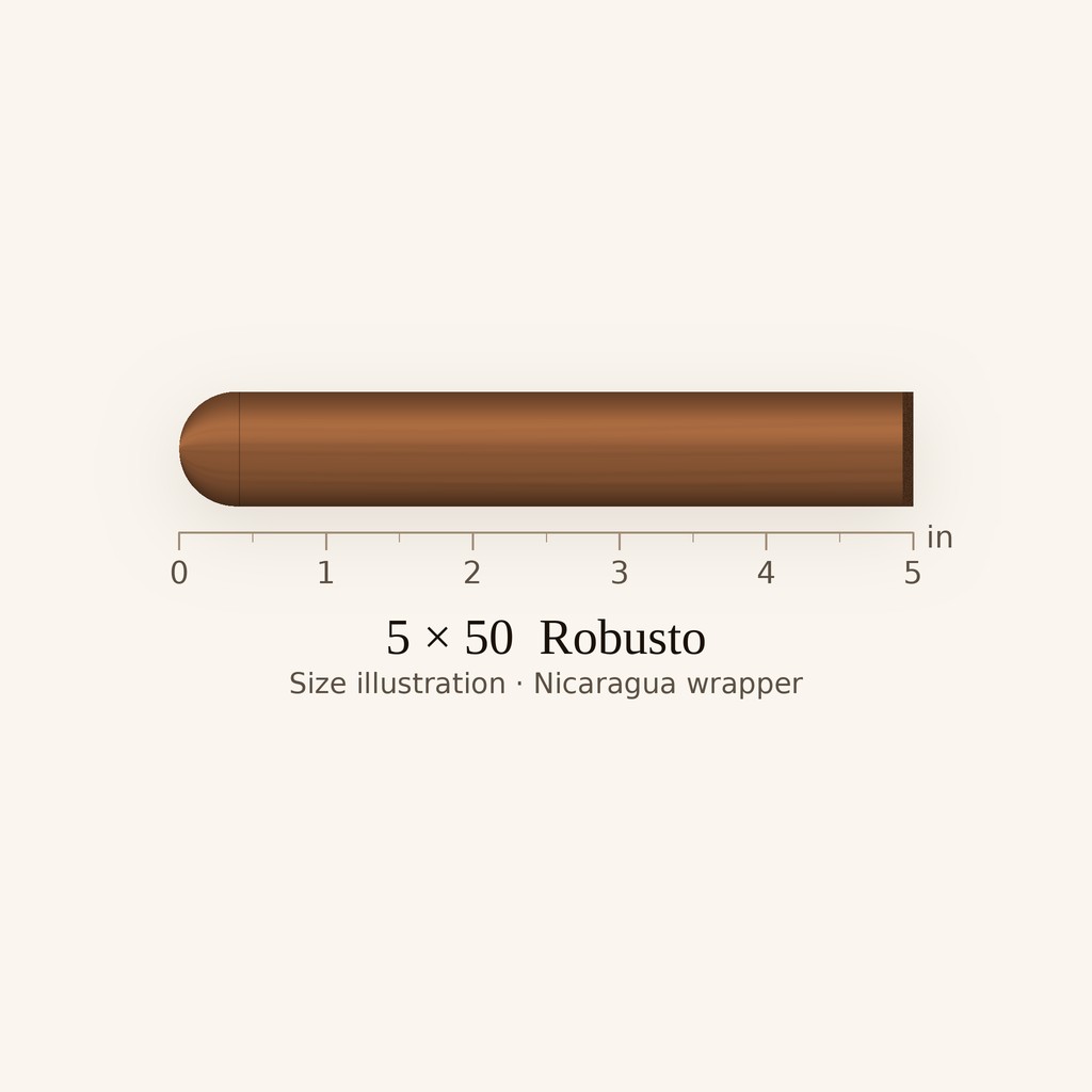 Davidoff Nicaragua Robusto